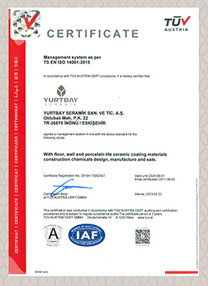 ISO 14001 2015 ÇYS (ING)