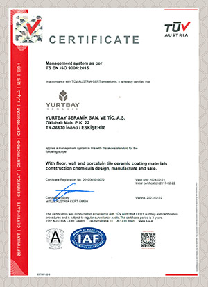 ISO 9001 2015 KYS (İNG)